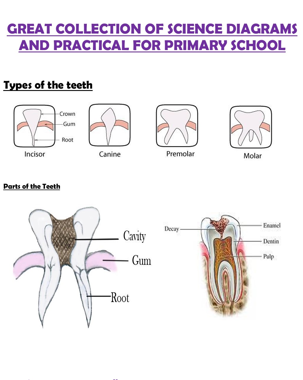 No preview available